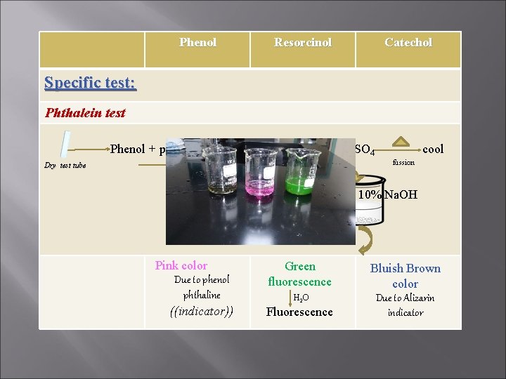 Phenol Resorcinol Catechol Specific test: Phthalein test Dry test tube Phenol + phthalic anhydride