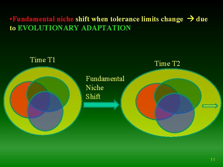  • Fundamental niche shift when tolerance limits change due to EVOLUTIONARY ADAPTATION Time