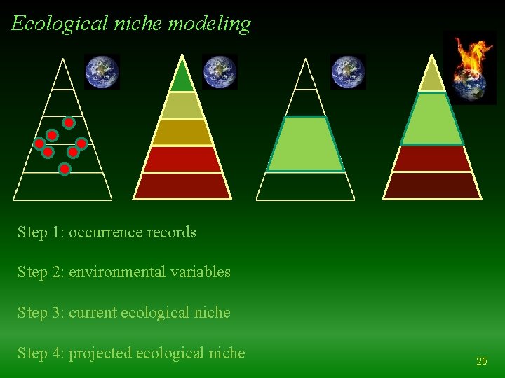 Ecological niche modeling Step 1: occurrence records Step 2: environmental variables Step 3: current