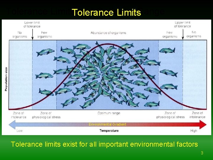 Tolerance Limits. Tolerance and Optimum Limits. Range Environmental Gradient Tolerance limits exist for all