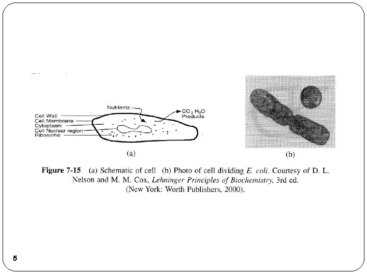 Bioreactors 5 