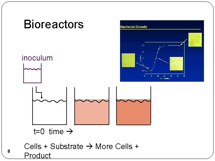 Bioreactors inoculum t=0 time 8 Cells + Substrate More Cells + Product 