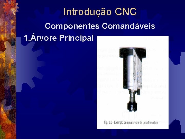 Introdução CNC Componentes Comandáveis 1. Árvore Principal 