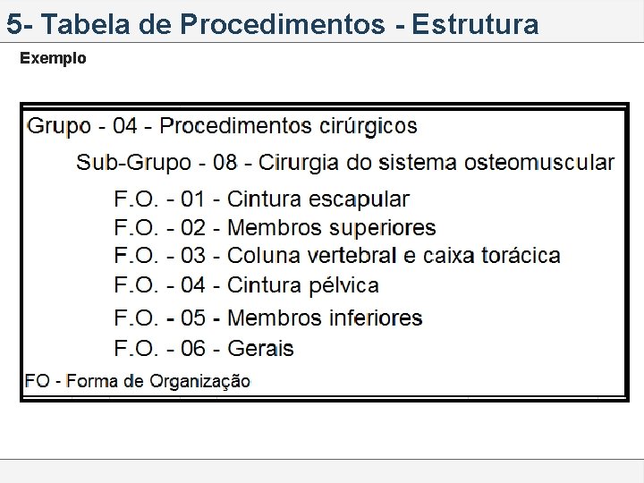 5 - Tabela de Procedimentos - Estrutura Exemplo 