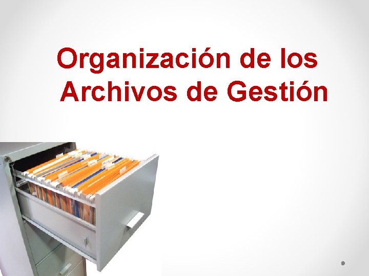 Organización de los Archivos de Gestión 