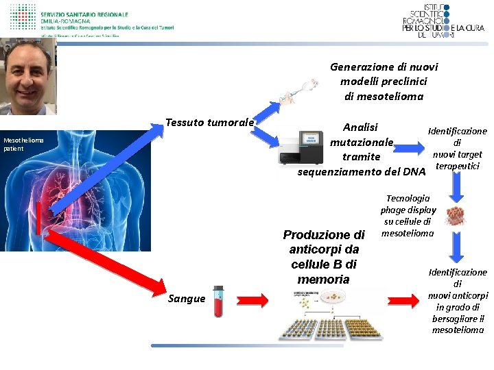 Generazione di nuovi modelli preclinici di mesotelioma Tessuto tumorale Mesothelioma patient Analisi Identificazione mutazionale