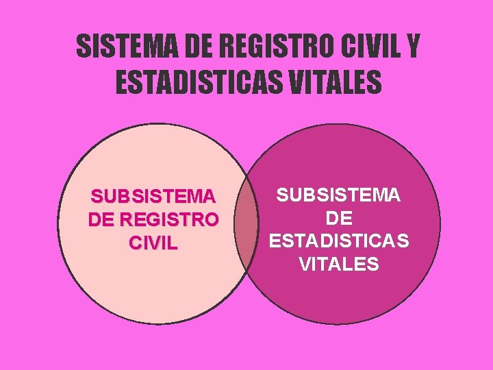 SISTEMA DE REGISTRO CIVIL Y ESTADISTICAS VITALES SUBSISTEMA DE REGISTRO CIVIL SUBSISTEMA DE ESTADISTICAS