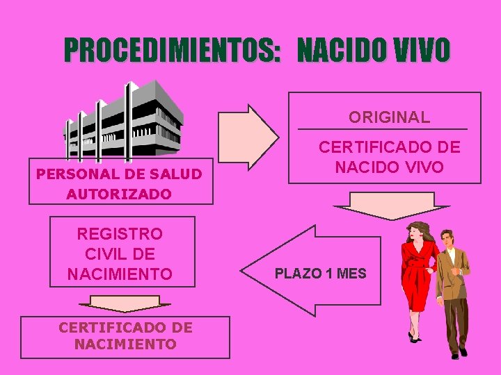 PROCEDIMIENTOS: NACIDO VIVO ORIGINAL PERSONAL DE SALUD AUTORIZADO REGISTRO CIVIL DE NACIMIENTO CERTIFICADO DE