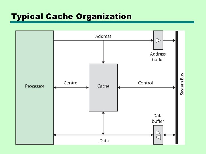 Typical Cache Organization 