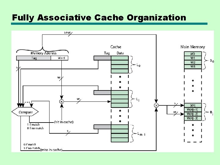 Fully Associative Cache Organization 