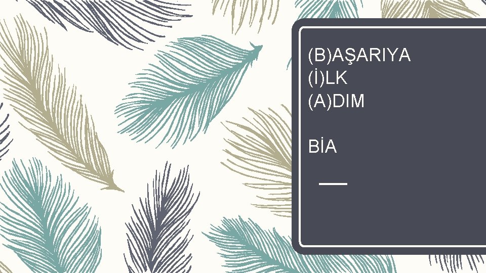 (B)AŞARIYA (İ)LK (A)DIM BİA 