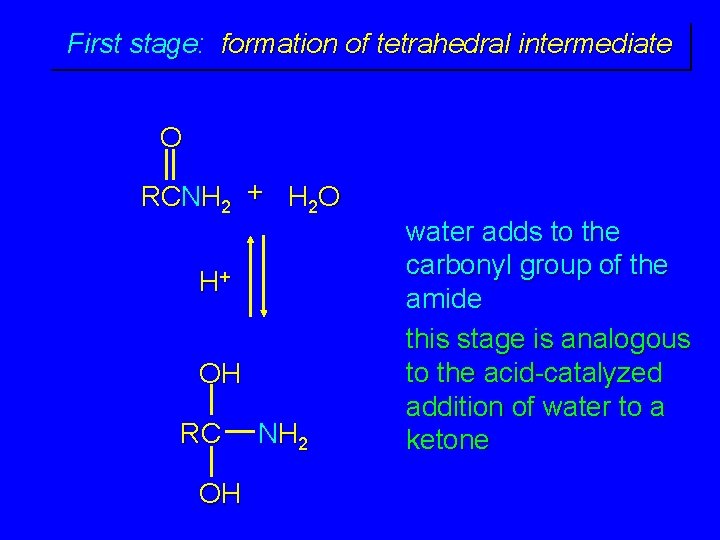 First stage: formation of tetrahedral intermediate O RCNH 2 + H 2 O H+