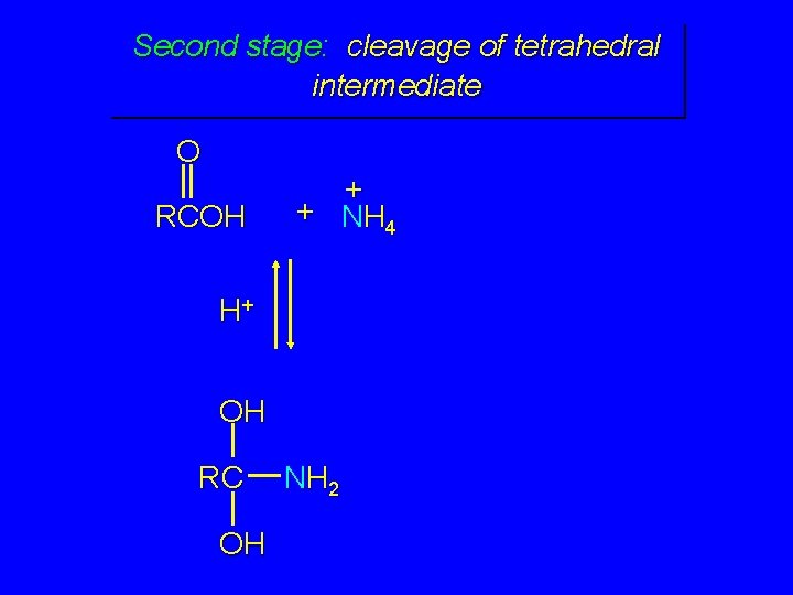 Second stage: cleavage of tetrahedral intermediate O RCOH + + NH 4 H+ OH