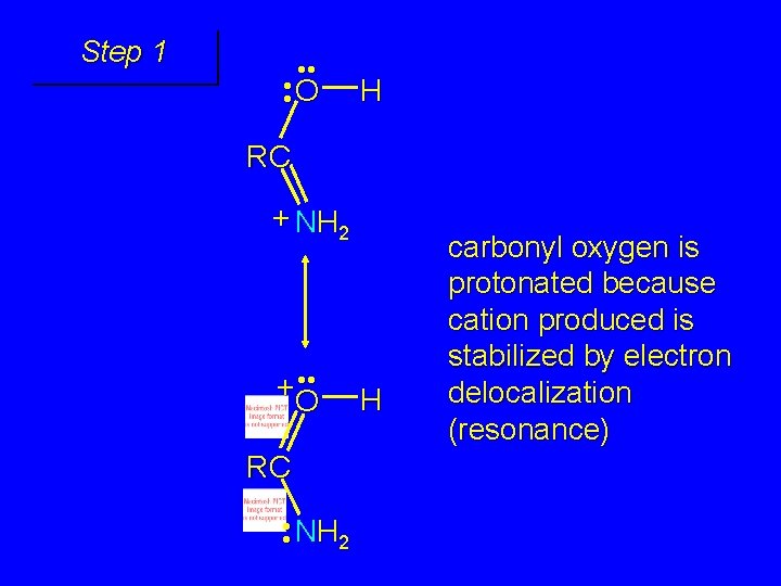 Step 1 • • O H RC + NH 2 • • +O RC