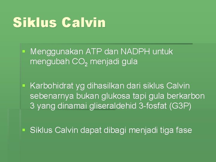 Siklus Calvin § Menggunakan ATP dan NADPH untuk mengubah CO 2 menjadi gula §