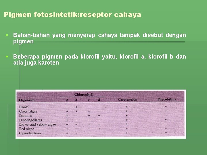 Pigmen fotosintetik: reseptor cahaya § Bahan-bahan yang menyerap cahaya tampak disebut dengan pigmen §