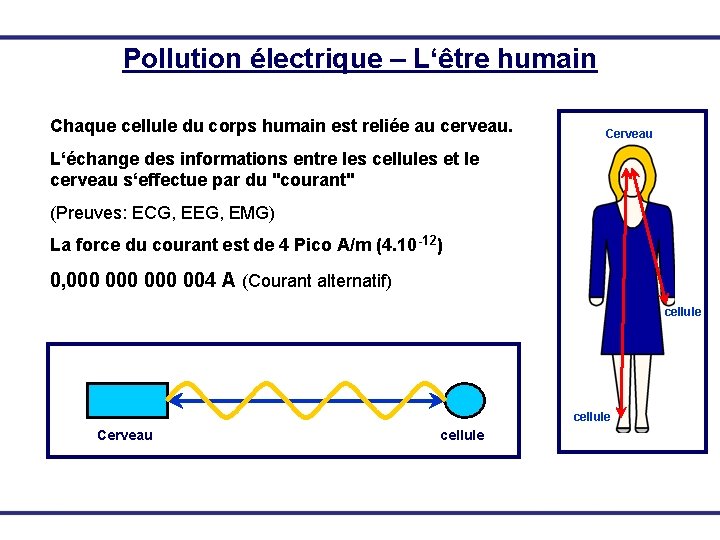 Pollution électrique – L‘être humain Chaque cellule du corps humain est reliée au cerveau.