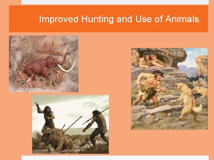 Improved Hunting and Use of Animals 