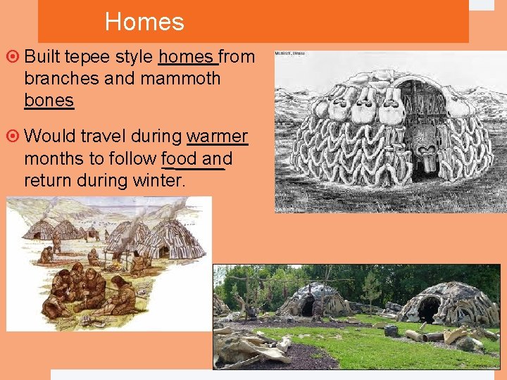 Homes Built tepee style homes from branches and mammoth bones Would travel during warmer