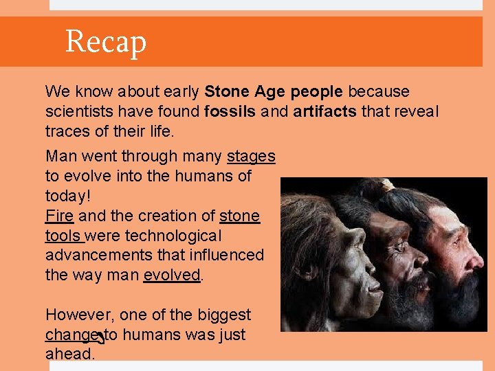 Recap We know about early Stone Age people because scientists have found fossils and