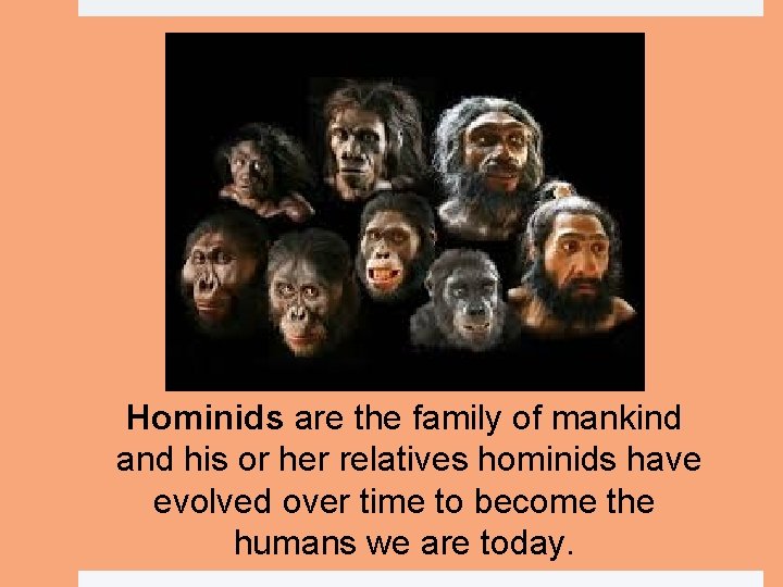 Hominids are the family of mankind and his or her relatives hominids have evolved