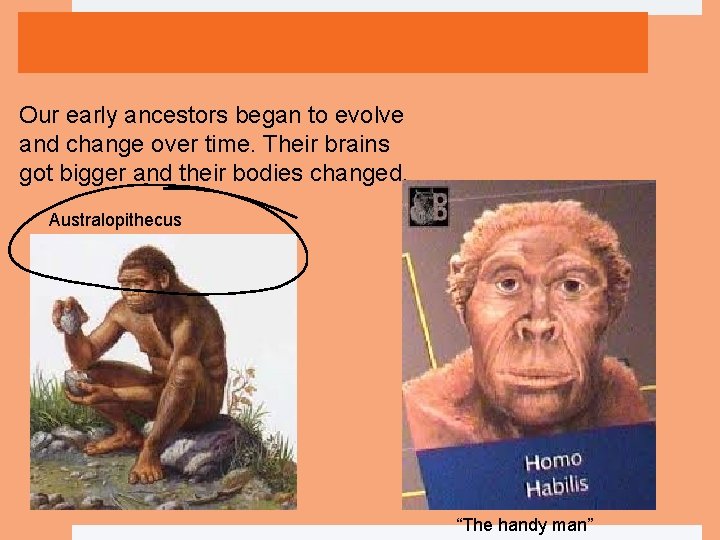 Our early ancestors began to evolve and change over time. Their brains got bigger