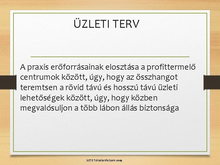 ÜZLETI TERV A praxis erőforrásainak elosztása a profittermelő centrumok között, úgy, hogy az összhangot