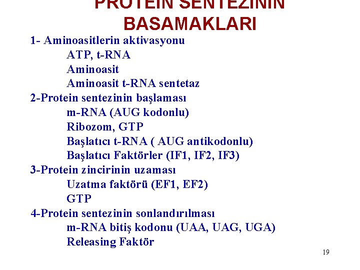 PROTEİN SENTEZİNİN BASAMAKLARI 1 - Aminoasitlerin aktivasyonu ATP, t-RNA Aminoasit t-RNA sentetaz 2 -Protein