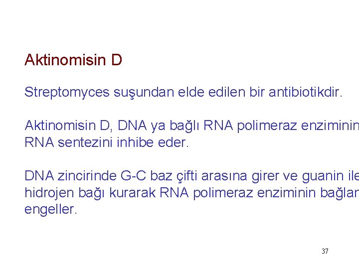 Aktinomisin D Streptomyces suşundan elde edilen bir antibiotikdir. Aktinomisin D, DNA ya bağlı RNA