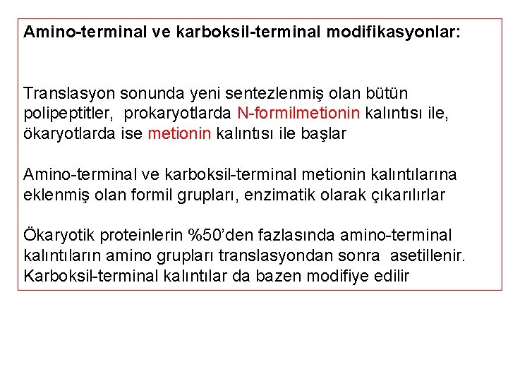 Amino-terminal ve karboksil-terminal modifikasyonlar: Translasyon sonunda yeni sentezlenmiş olan bütün polipeptitler, prokaryotlarda N-formilmetionin kalıntısı