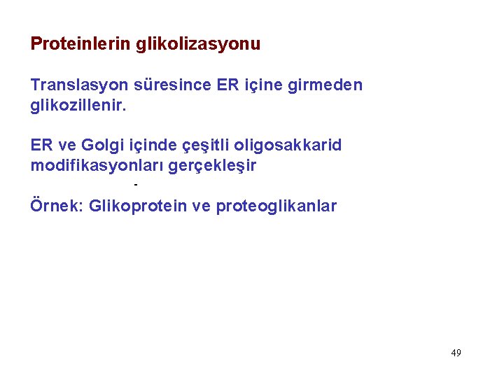 Proteinlerin glikolizasyonu Translasyon süresince ER içine girmeden glikozillenir. ER ve Golgi içinde çeşitli oligosakkarid