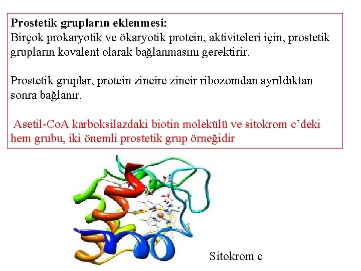 Prostetik grupların eklenmesi: Birçok prokaryotik ve ökaryotik protein, aktiviteleri için, prostetik grupların kovalent olarak