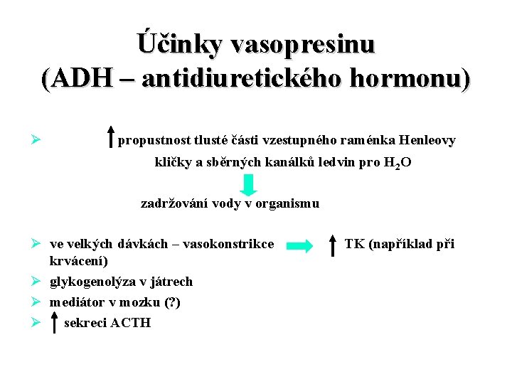 Účinky vasopresinu (ADH – antidiuretického hormonu) Ø propustnost tlusté části vzestupného raménka Henleovy kličky