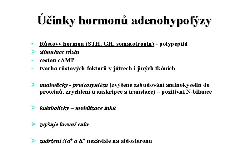 Účinky hormonů adenohypofýzy • Ø - Růstový hormon (STH, GH, somatotropin) - polypeptid stimulace