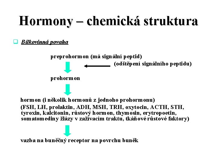 Hormony – chemická struktura q Bílkovinná povaha preprohormon (má signální peptid) (odštěpení signálního peptidu)