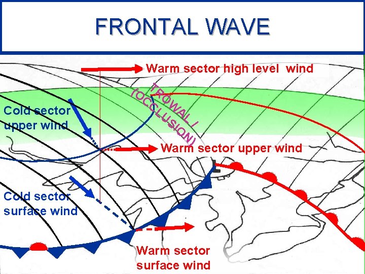 FRONTAL WAVE Cold sector upper wind Warm sector high level wind (O TR CC FRONTAL WAVE Cold sector upper wind Warm sector high level wind (O TR CC