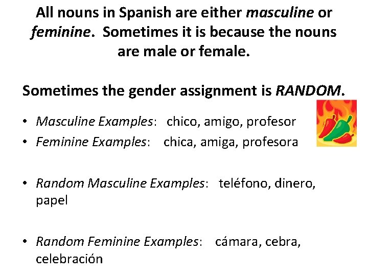 All nouns in Spanish are either masculine or feminine. Sometimes it is because the