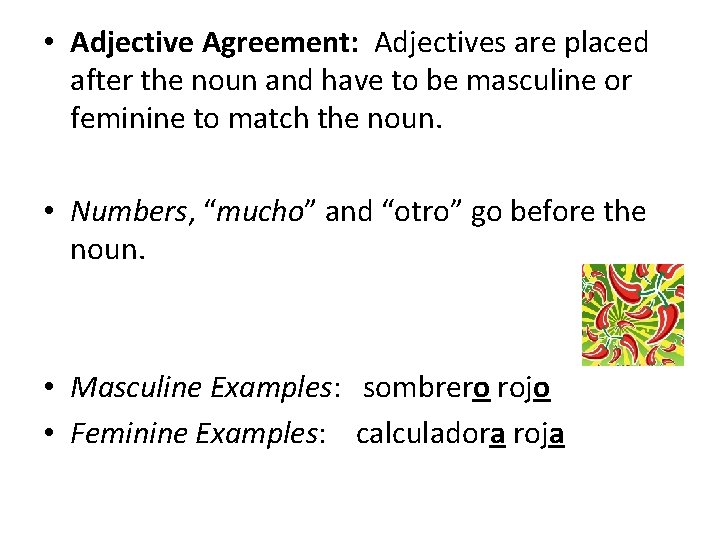  • Adjective Agreement: Adjectives are placed after the noun and have to be