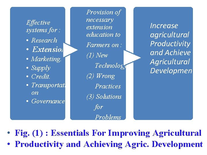 Effective systems for : • Research • Extension • • Marketing. Supply Credit. Transportati