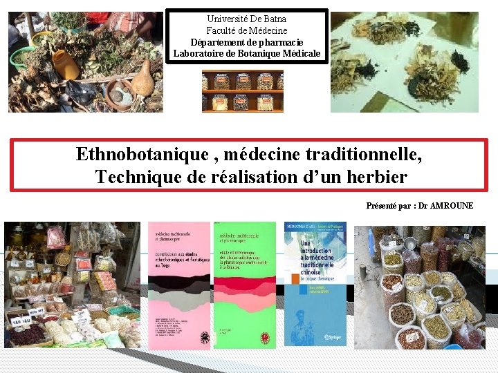 Université De Batna Faculté de Médecine Département de pharmacie Laboratoire de Botanique Médicale Ethnobotanique