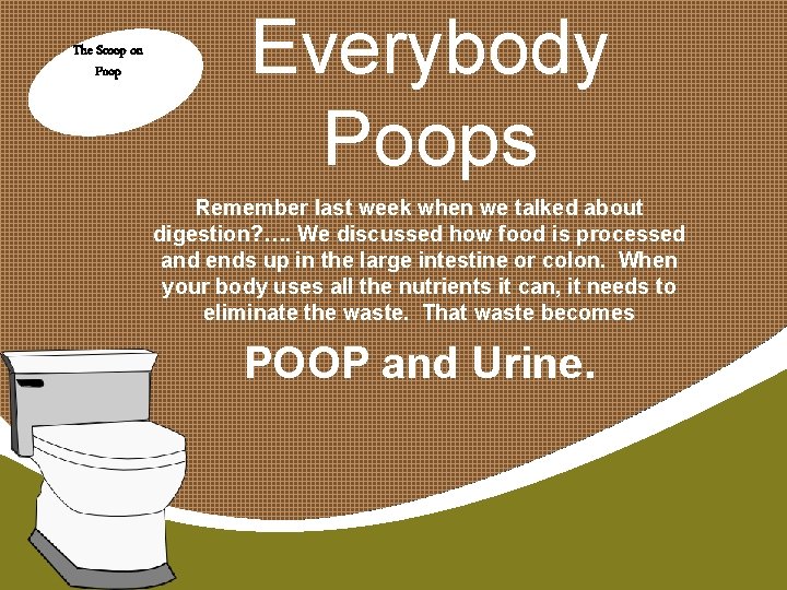 The Scoop on Poop Everybody Poops Remember last week when we talked about digestion?