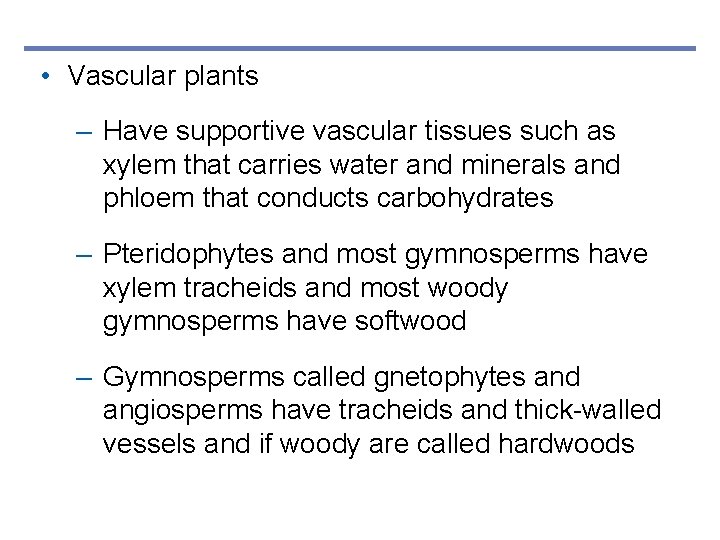 • Vascular plants – Have supportive vascular tissues such as xylem that carries