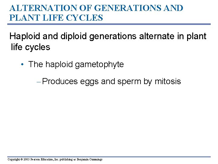 ALTERNATION OF GENERATIONS AND PLANT LIFE CYCLES Haploid and diploid generations alternate in plant