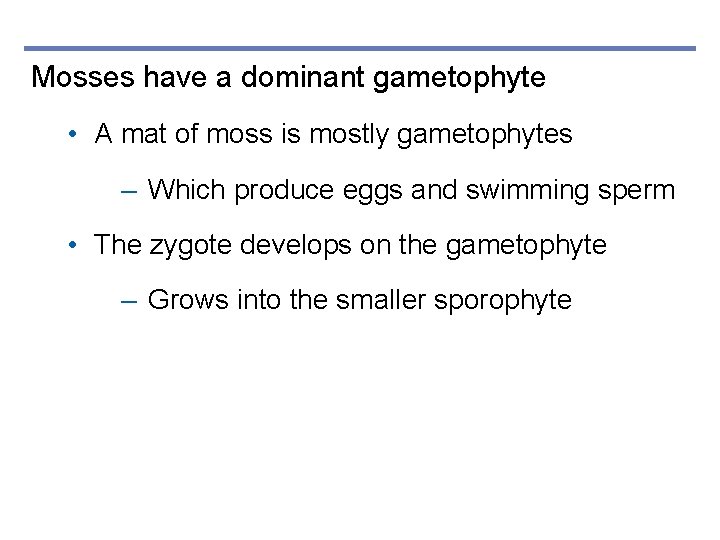 Mosses have a dominant gametophyte • A mat of moss is mostly gametophytes –