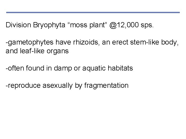 Division Bryophyta “moss plant” @12, 000 sps. -gametophytes have rhizoids, an erect stem-like body,