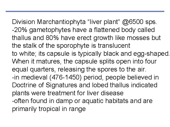 Division Marchantiophyta “liver plant” @6500 sps. -20% gametophytes have a flattened body called thallus
