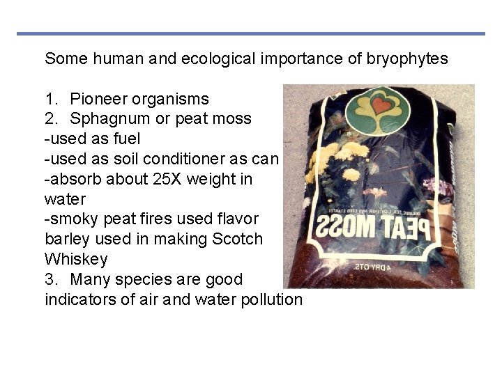 Some human and ecological importance of bryophytes 1. Pioneer organisms 2. Sphagnum or peat