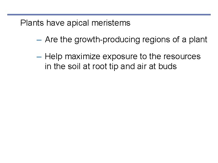 Plants have apical meristems – Are the growth-producing regions of a plant – Help