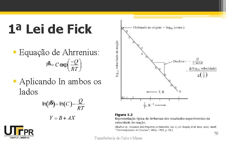 1ª Lei de Fick § Equação de Ahrrenius: § Aplicando ln ambos os lados