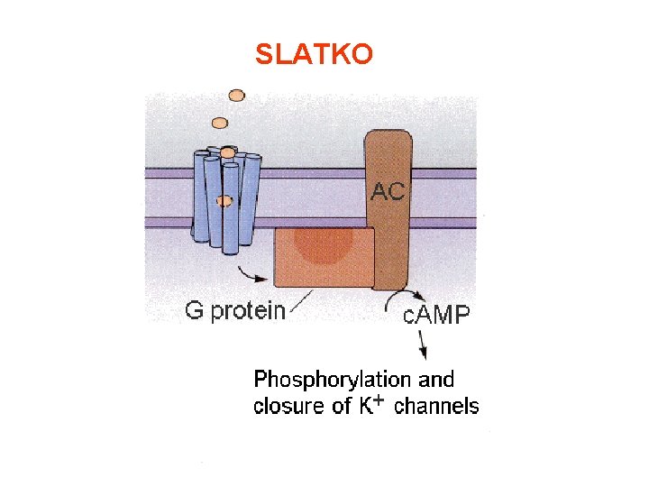 SLATKO SLATKO